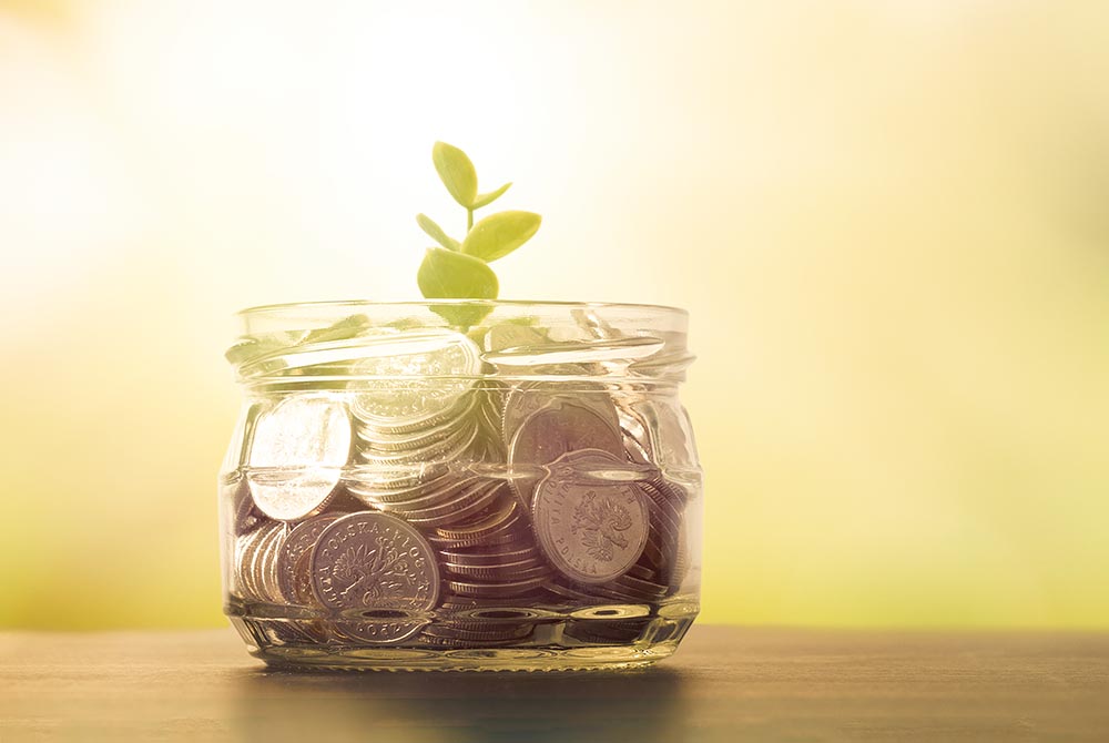 coins in a glass jar, with a plant growing out of the middle